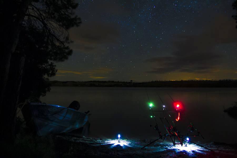 ::::::::- LIKE -:::::: - 9468345443463989344661964901113n.jpg